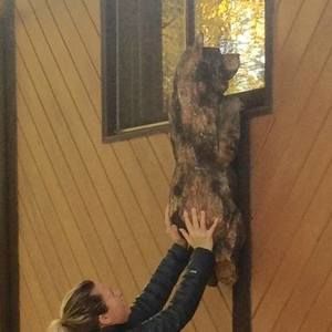 Meet your Posher, Audrey